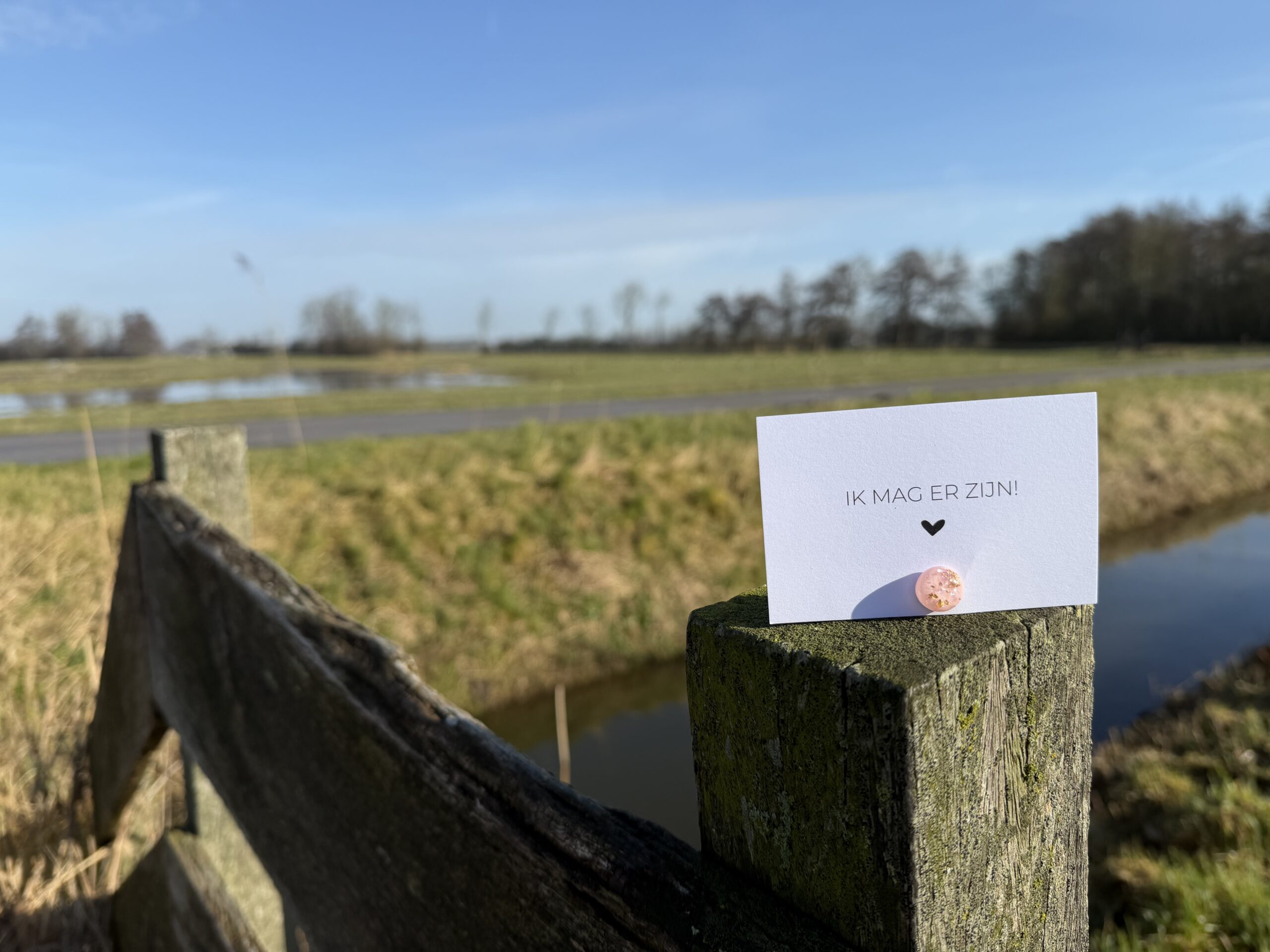 Door coaching ontwikkel je jezelf en vergroot je je zelfliefde 